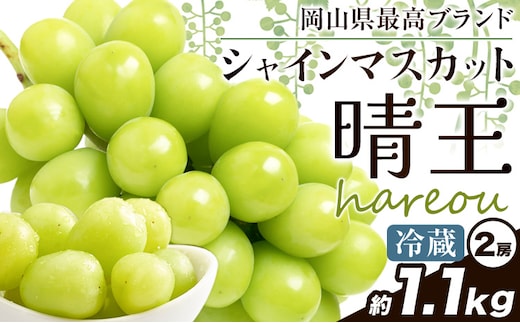ぶどう【2026年発送先行予約】シャインマスカット 晴王 1.1kg (2房)《2026年9月中旬-10月中旬頃より出荷予定(土日祝除く)》晴レ乃青果 (岡山中央卸売市場店(富士紙工 有限会社)) マスカット 送料無料 岡山県 浅口市 フルーツ 果物 贈り物 ギフト 国産 【配送不可地域あり】（北海道・沖縄・離島）---124_c2200_9b10b_25_31000_1100---
