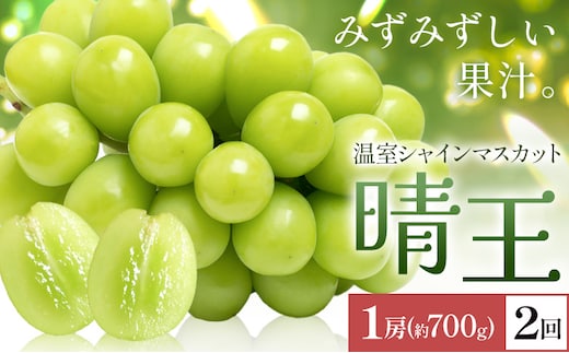 【2026年発送先行予約】シャインマスカット 温室 晴王 1房(約700g) 2回お届け シャイン マスカット《2026年7月中旬-8月中旬頃出荷》晴レ乃青果 (岡山中央卸売市場店(富士紙工 有限会社)) 送料無料 岡山県 浅口市 フルーツ 果物 岡山県産【配送不可地域あり】---124_c2224_7b8b_55000_jul2_tei---