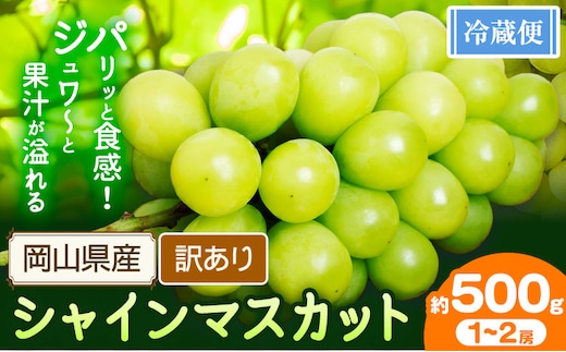 訳あり シャインマスカット 約500g 1～2房 【配送不可地域あり】 花田青果株式会社《2026年9月上旬-10月末頃出荷》---124_c2532_9a10m_25_8000_500g---