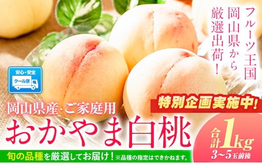 【特別企画】桃 訳あり 白桃【2026年 先行予約】おかやま白桃 もも 約1kg 3~5玉前後 岡山県産 ご家庭用《2026年6月下旬-9月下旬頃出荷》岡山県 浅口市 厳選出荷 白桃 黄桃 白鳳 清水白桃 おかやま夢白桃 川中島白桃 白皇 黄金桃 果物 フルーツ---asakuchi_lcl_6---