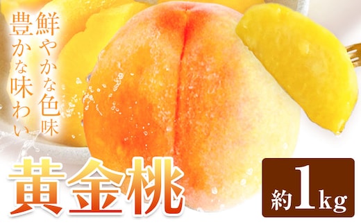 黄金桃 約1kg 花田青果株式会社《8月下旬-9月上旬頃出荷》岡山県 浅口市 黄桃 桃 もも 旬 フルーツ 果物 【配送不可地域あり】（離島） ---124_c2529_8c9a_25_9000_1kg---