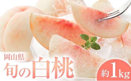 桃 岡山県の旬の白桃 約1kg 花田青果株式会社《6月下旬-8月下旬頃出荷予定(土日祝除く)》岡山県 浅口市 白桃 桃 もも 旬 フルーツ 果物【配送不可地域あり】 ---124_c2526_6c8c_25_9000_1kg---