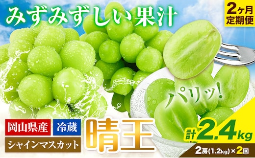 ぶどう 2ヶ月 定期便 [2026年先行予約] シャインマスカット 晴王 約1.2kg 岡山県産《9月上旬-10月末頃出荷(土日祝除く)》 ハレノフルーツ マスカット 送料無料 岡山県 浅口市 フルーツ 果物 贈り物 ギフト 国産 岡山県産【配送不可地域あり】（北海道・沖縄・離島）---124_c1958_25_57000_sep2_tei---