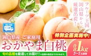【特別企画】桃 訳あり 白桃【2026年 先行予約】おかやま白桃 もも 約1kg 3~5玉前後 岡山県産 ご家庭用《2026年6月下旬-9月下旬頃出荷》岡山県 浅口市 厳選出荷 白桃 黄桃 白鳳 清水白桃 おかやま夢白桃 川中島白桃 白皇 黄金桃 果物 フルーツ---asakuchi_lcl_6---