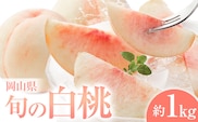 桃 岡山県の旬の白桃 約1kg 花田青果株式会社《6月下旬-8月下旬頃出荷予定(土日祝除く)》岡山県 浅口市 白桃 桃 もも 旬 フルーツ 果物【配送不可地域あり】 ---124_c2526_6c8c_25_9000_1kg---