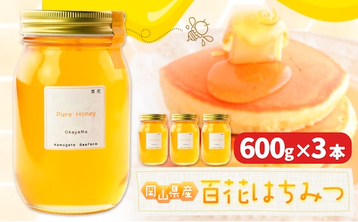 はちみつ 蜂蜜 百花 600g 3本 かもがた養蜂 《30日以内に出荷予定(土日祝除く)》 岡山県 浅口市 送料無料 ハチミツ 百花蜜 百花はちみつ 岡山県産---124_363_30d_23_25000_3---