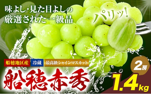 【2026年先行予約受付】最高級 シャインマスカット ぶどう 船穂赤秀 2房 1.4kg 岡山県産《2026年9月上旬-10月末頃出荷(土日祝除く)》 ハレノフルーツ マスカット 送料無料 岡山県 浅口市 フルーツ 果物 贈り物 ギフト 国産 岡山県産【配送不可地域あり】（北海道・沖縄・離島）---124_c1968_9a10m_25_45000_1400g---