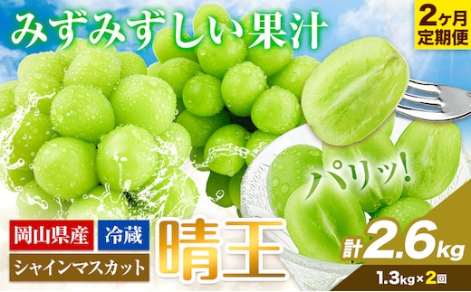 【2026年先行予約】ぶどう 2ヶ月 定期便 シャインマスカット 晴王 約1.3kg 岡山県産《9月上旬-10末頃出荷》 ハレノフルーツ マスカット 送料無料 岡山県 浅口市 フルーツ 果物 贈り物 ギフト 国産 岡山県産【配送不可地域あり】（北海道・沖縄・離島）---124_c1959_25_58500_sep2_tei---