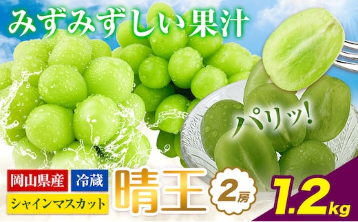 【2026年先行予約】ぶどう シャインマスカット 晴王 2房 1.2kg 岡山県産《2026年9月上旬-10月末頃出荷(土日祝除く)》 ハレノフルーツ マスカット 送料無料 岡山県 浅口市 フルーツ 果物 贈り物 ギフト 国産 岡山県産 くだもの 青果物 【配送不可地域あり】（北海道・沖縄・離島）---124_c1946_9a10m_25_29500_1200g---
