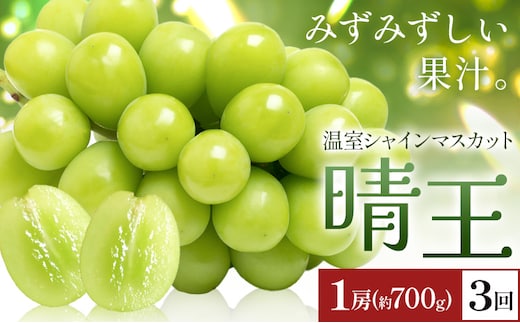 【2026年発送先行予約】シャインマスカット 温室 晴王 1房(約700g) 3回お届け シャイン マスカット《2026年7月中旬-9月中旬頃出荷》晴レ乃青果 (岡山中央卸売市場店(富士紙工 有限会社)) 送料無料 岡山県 浅口市 フルーツ 果物 岡山県産【配送不可地域あり】---124_c2228_7b9b_81000_jul3_tei---