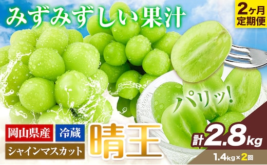 【2026年先行予約】ぶどう 2ヶ月 定期便 シャインマスカット 晴王 約1.4kg 岡山県産《9月上旬-10月末頃出荷》 ハレノフルーツ マスカット 送料無料 岡山県 浅口市 フルーツ 果物 贈り物 ギフト 国産 岡山県産【配送不可地域あり】（北海道・沖縄・離島）---124_c1960_25_60000_sep2_tei---