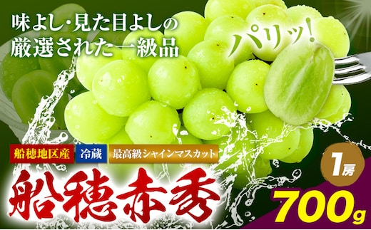 【2026年先行予約受付】最高級 シャインマスカット ぶどう 船穂赤秀 1房 700g 岡山県産《2026年9月上旬-10月末頃出荷(土日祝除く)》 ハレノフルーツ マスカット 送料無料 岡山県 浅口市 フルーツ 果物 贈り物 ギフト 国産 岡山県産【配送不可地域あり】（北海道・沖縄・離島）---124_c1964_9a10m_25_25500_700g---