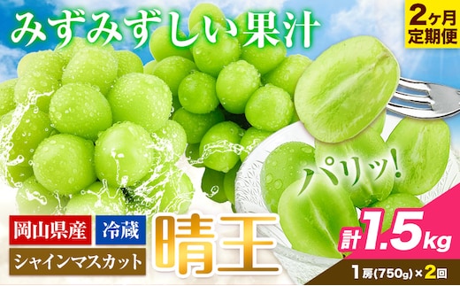 ぶどう 2ヶ月 定期便 [2026年先行予約] シャインマスカット 晴王 約750g 岡山県産《9月上旬-10月末頃出荷(土日祝除く)》 ハレノフルーツ マスカット 送料無料 岡山県 浅口市 フルーツ 果物 贈り物 ギフト 国産 岡山県産【配送不可地域あり】（北海道・沖縄・離島）---124_c1955_25_37000_sep2_tei---