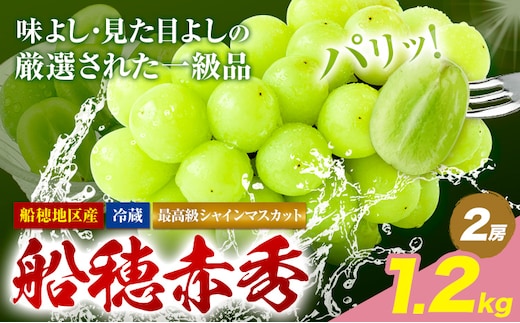 【2026年先行予約受付】最高級 シャインマスカット ぶどう 船穂赤秀 2房 1.2kg 岡山県産《2026年9月上旬-10月末頃出荷(土日祝除く)》 ハレノフルーツ マスカット 送料無料 岡山県 浅口市 フルーツ 果物 贈り物 ギフト 国産 岡山県産【配送不可地域あり】（北海道・沖縄・離島）---124_c1966_9a10m_25_38500_1200g---