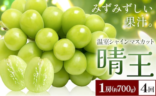 【2026年発送先行予約】シャインマスカット 温室 晴王 1房(約700g) 4回お届け シャイン マスカット《2026年7月中旬-10月中旬頃出荷》晴レ乃青果 (岡山中央卸売市場店(富士紙工 有限会社)) 送料無料 岡山県 浅口市 フルーツ 果物 岡山県産【配送不可地域あり】---124_c2232_7b10b_101000_jul4_tei---