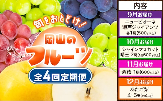 【2026年先行予約】定期便4回コース 岡山のフルーツ ニューピオーネ 1房 瀬戸ジャイアンツ 1房 シャインマスカット 晴王 2房 紫苑 1房 あたご梨 4~5玉 化粧箱入り 株式会社山博(中本青果) 《9月上旬-12月下旬頃出荷》 岡山県 浅口市 果物 送料無料 【配送不可地域あり】（北海道・沖縄・離島）---124_c1891_9a12c_25_88000_tei---