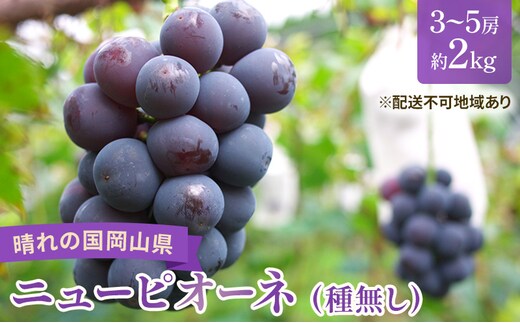 【2026年先行予約】 ぶどう 岡山県産 ニューピオーネ （ 種無し ）約2kg（3～5房） 《2026年8月下旬-9月中旬頃出荷》 葡萄 ブドウ フルーツ 果物 スイーツ 数量限定 期間限定 岡山 里庄町 
