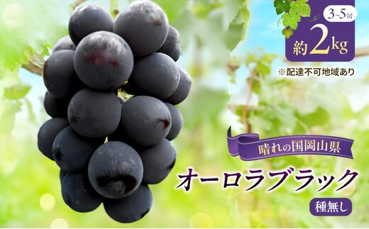 【2026年先行予約】 ぶどう 岡山県産 オーロラブラック （ 種無し ）約2kg（3～5房） 《2026年9月上旬-中旬頃出荷》 葡萄 ブドウ フルーツ 果物 スイーツ 数量限定 期間限定 岡山 里庄町 果物類 