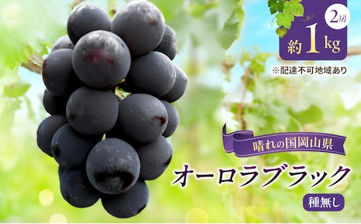 【2026年先行予約】 ぶどう 岡山県産 オーロラブラック （ 種無し ）約1kg（2房） 《2026年9月上旬-中旬頃出荷》 葡萄 ブドウ フルーツ 果物 スイーツ 数量限定 期間限定 岡山 里庄町 