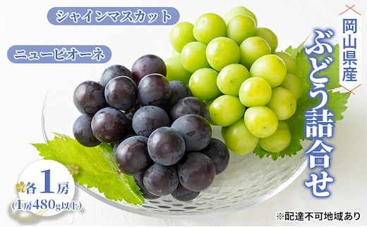 ぶどう 2026年 先行予約 詰合せ ニュー ピオーネ 1房（1房480g以上） シャイン マスカット 1房（1房480g以上） ブドウ 葡萄 岡山県産 国産 フルーツ 果物 ギフト ニューピオーネ 