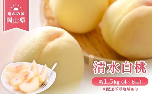  【 2027年 先行予約】 桃 岡山県産 清水 白桃 約1.5kg(4～6玉) 《2027年7月中旬-8月上旬頃出荷》 白桃 岡山 はくとう スイーツ フルーツ 果物 先行予約 数量限定 期間限定 岡山 里庄町 モモ もも 桃 