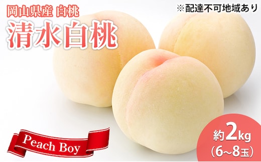 【 2026年 先行予約】 桃 岡山県産 清水 白桃 約2kg(6～8玉) 《2026年7月中旬-8月上旬頃出荷》 白桃 岡山 はくとう スイーツ フルーツ 果物 先行予約 数量限定 期間限定 岡山 里庄町 モモ もも 桃 