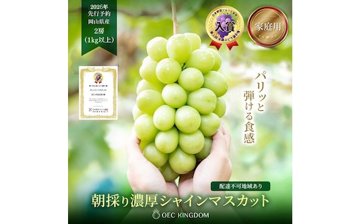 ぶどう 2026年 先行予約 ［ご家庭用］ シャイン マスカット 2房（合計1kg以上） ブドウ 葡萄 岡山県産 国産 フルーツ 果物 OEC KINGDOM ぶどう家 果物類 