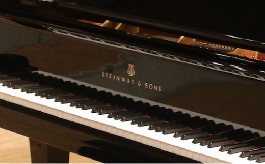 ピアノ演奏体験（スタインウェイD274）～ホール2時間貸し切り～ 体験チケット チケット 
