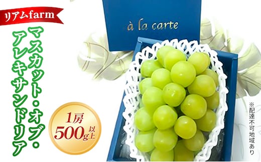 【 2026年 先行予約】 ぶどう 岡山県産 マスカット・オブ・アレキサンドリア 1房（500g以上） 《2026年7月上旬-下旬頃出荷》 葡萄 ブドウ フルーツ 果物 スイーツ 数量限定 期間限定 里庄町 リアム farm