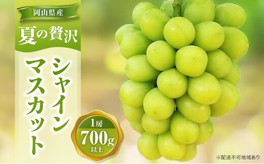 【2026年先行予約】 ぶどう 夏の贅沢 シャインマスカット 1房(700g以上) 【7月10日から7月30日までに発送】 葡萄 ブドウ 岡山県産 フルーツ 果物 数量限定 期間限定 岡山 里庄町 