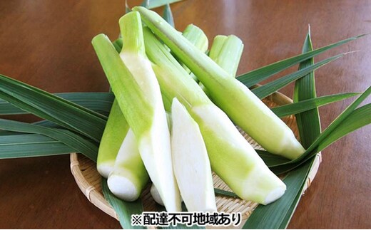 里庄 まこもたけ （1.0kg）【2026年10月上旬～2027年1月上旬出荷】 野菜 マコモダケ マコモ 中華料理 天ぷら 高級食材 送料無料 里庄町