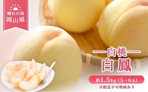 【 2026年 先行予約】 桃 岡山県産 白鳳 （ 白桃 ）約1.5kg(5～6玉) 《2026年7月上旬-中旬頃出荷》 白桃 岡山 はくとう スイーツ フルーツ 果物 先行予約 数量限定 期間限定 岡山 里庄町 モモ もも 桃 