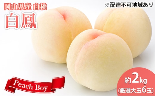 【 2026年 先行予約】 桃 岡山県産 数量限定50箱 極撰 白鳳 （ 白桃 ） 2kg 厳選 大玉 6玉 《2026年7月上旬-7月中旬頃出荷》岡山 スイーツ フルーツ 果物 先行予約 数量限定 期間限定 岡山 里庄町 