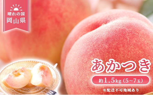 【 2026年 先行予約】 桃 岡山県産 あかつき 約1.5kg(5～7玉) 《2026年7月上旬-中旬頃出荷》 白桃 岡山 はくとう スイーツ フルーツ 果物 先行予約 数量限定 期間限定 岡山 里庄町 モモ もも 桃 