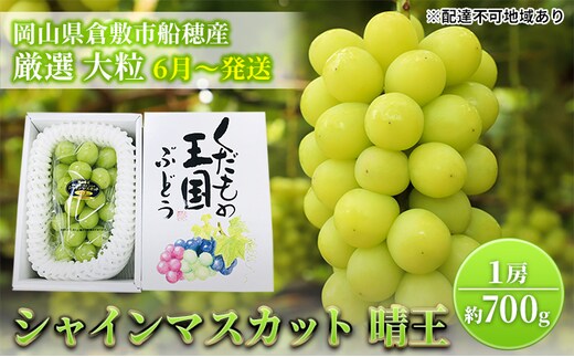 【2026年先行予約】 ぶどう 岡山県産 シャインマスカット 晴王 厳選 1房 約700g 大房 岡山県 倉敷市 船穂産 《2026年6月中旬-7月上旬頃出荷》 葡萄 ブドウ フルーツ 果物 スイーツ 数量限定 期間限定 里庄町 