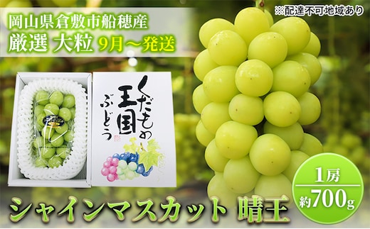 【2026年先行予約】 ぶどう 岡山県産 シャインマスカット 晴王 厳選 1房 約700g 大房 岡山県 倉敷市 船穂産 《2026年9月上旬-10月上旬頃出荷》 葡萄 ブドウ フルーツ 果物 数量限定 期間限定 里庄町
