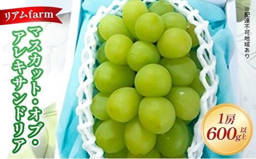 【 2026年 先行予約】 ぶどう 岡山県産 マスカット・オブ・アレキサンドリア 1房（600g以上） 《2026年7月上旬-下旬頃出荷》 葡萄 ブドウ フルーツ 果物 スイーツ 数量限定 期間限定 里庄町 リアム farm