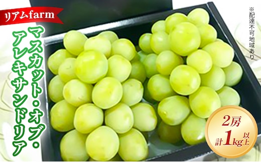 【2026年先行予約】 ぶどう 岡山県産 マスカット・オブ・アレキサンドリア 2房（計1kg以上） 《2026年7月上旬-下旬頃出荷》 葡萄 ブドウ フルーツ 果物 スイーツ 数量限定 期間限定 里庄町 リアム farm
