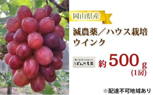 ぶどう 2026年 先行予約 ウインク 1房 約500g 減農薬／ハウス栽培 ブドウ 葡萄 岡山県産 国産 フルーツ 果物 ギフト ばんの農園 