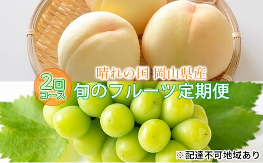 【2026年先行予約】 桃 シャインマスカット 晴れの国 旬 の フルーツ 定期便 2回 コース ( 白桃 ・ シャイン ）《2026年7月上旬-10月上旬頃出荷》 もも モモ 葡萄 ブドウ 岡山 里庄 数量限定 