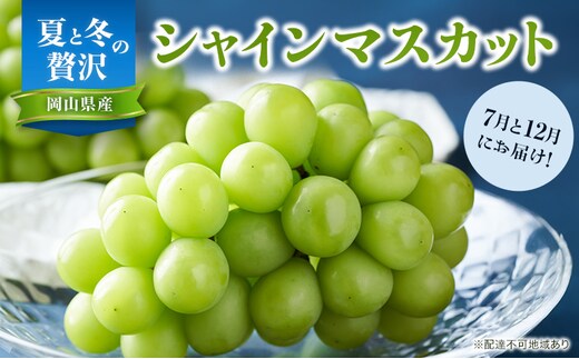 【2026年先行予約】 ぶどう 夏と冬の 贅沢 シャインマスカット 7月と12月に分けて お届け ！ 葡萄 ブドウ 岡山県産 フルーツ 果物 数量限定 期間限定 岡山 里庄町 