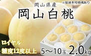 桃 2026年 先行予約 岡山 白桃 ロイヤル 5～10玉 約2kg JA おかやま のもも（早生種・中生種） もも モモ 岡山県産 国産 フルーツ 果物 ギフト 甘い 美味しい 産地直送 贈り物 高糖度 