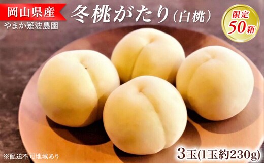 【限定50箱】冬桃がたり（白桃）約230g×3玉 桃 岡山 フルーツ 果物 先行予約 数量限定 期間限定 里庄町 モモ もも 