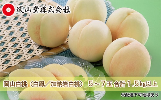 桃 2026年 先行予約 岡山 白桃（品種：白鳳／加納岩白桃）5～7玉 合計1.5kg以上 もも モモ 岡山県産 国産 フルーツ 果物 ギフト 環山堂 果皮が薄い 上品 甘み 贈り物 果実 柔らかい 多汁 