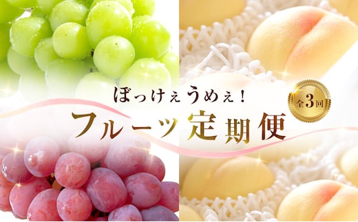 【 2026年 先行予約 】ぶどう 桃 ぼっけぇうめぇ フルーツ 定期便 3回 コース -2 ( 白桃 ・ シャインマスカット ・ 紫苑 )《2026年8月-10月出荷》 岡山県産 フルーツ 果物 数量限定 里庄町 