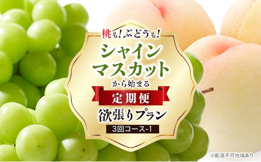【 2026年 先行予約 】ぶどう 桃 シャインマスカット から始まる 定期便 ～ 桃もぶどうも！ 欲張り プラン 3回 コース -2 ( シャインマスカット ・ 白桃 ・シャインマスカット )《2026年7月-9月出荷》 岡山県産 