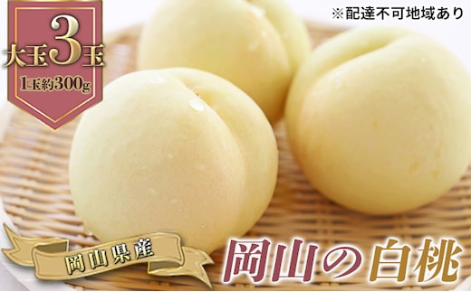 桃 2026年 先行予約 岡山の 白桃 大玉3玉（晩生種）（1玉約300g） もも モモ 岡山県産 国産 フルーツ 果物 ギフト