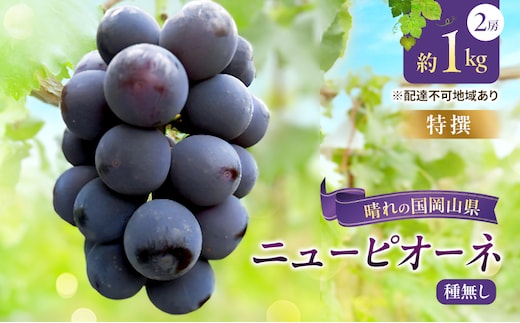 【2026年先行予約】 【特撰】ぶどう 岡山県産 ニューピオーネ （ 種無し ）約1kg（2房） 《2026年8月下旬-9月中旬頃出荷》 葡萄 ブドウ フルーツ 果物 スイーツ 数量限定 期間限定 岡山 里庄町 