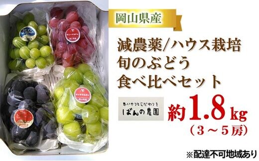 旬の ぶどう 食べ比べセット 約1.8kg 3～5房 減農薬／ハウス栽培 ばん