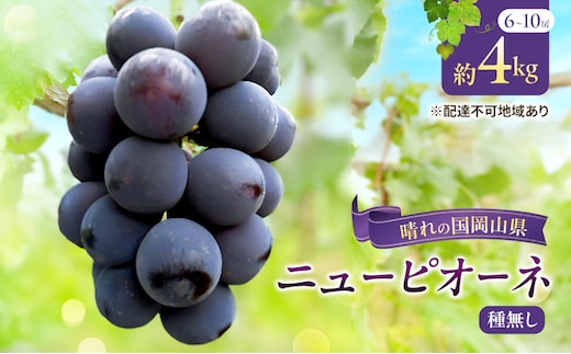 【2026年先行予約】 ぶどう 岡山県産 ニューピオーネ ( 種無し )約4kg(6～10房)【約2kg(3～5房)×2箱】 《2026年8月下旬-9月中旬頃出荷》 葡萄 ブドウ フルーツ 果物 スイーツ 数量限定 期間限定 岡山 里庄町 